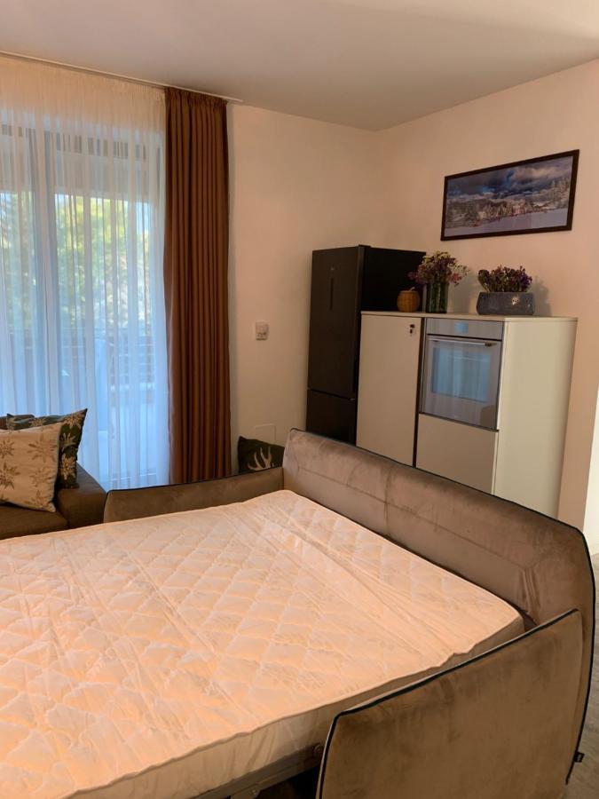Edelweiss Apartments Silver Resort Poiana Brasov Eksteriør billede